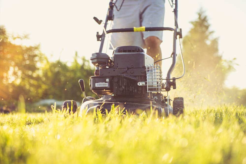 Deal property management Rovinj